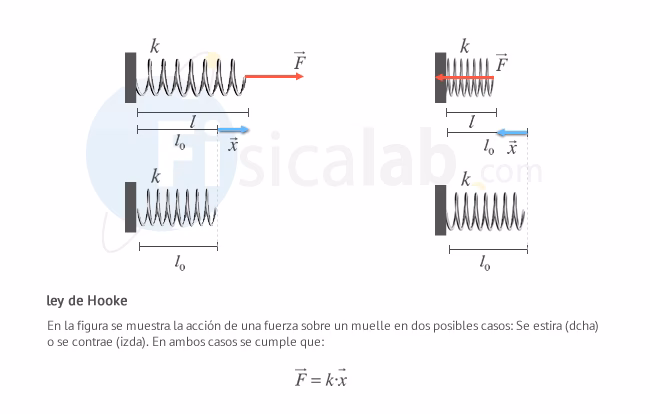 ¿Qué función tiene la fuerza restauradora?