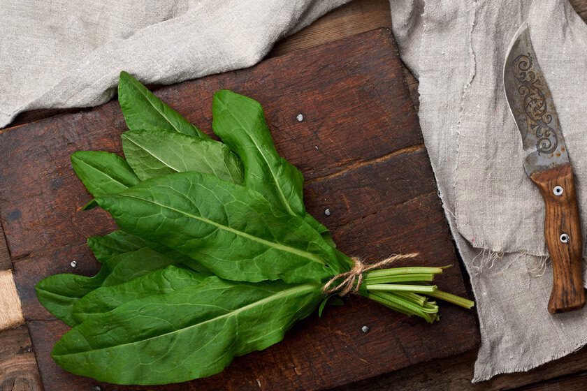 ¿Qué otro nombre recibe la acedera?