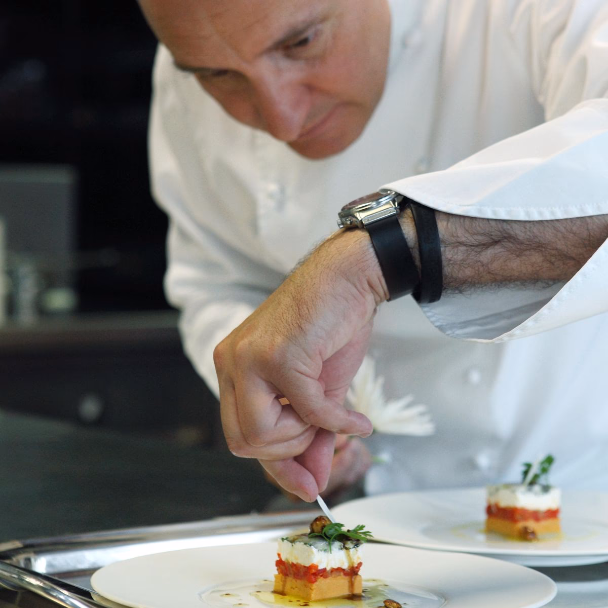 ¿Cómo se usa gastronomía en una oración?