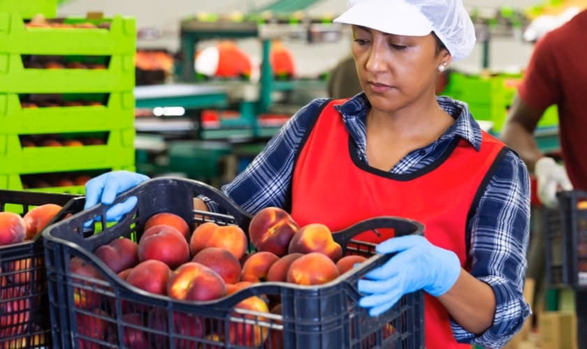 ¿Qué son las agroindustrias alimentarias?