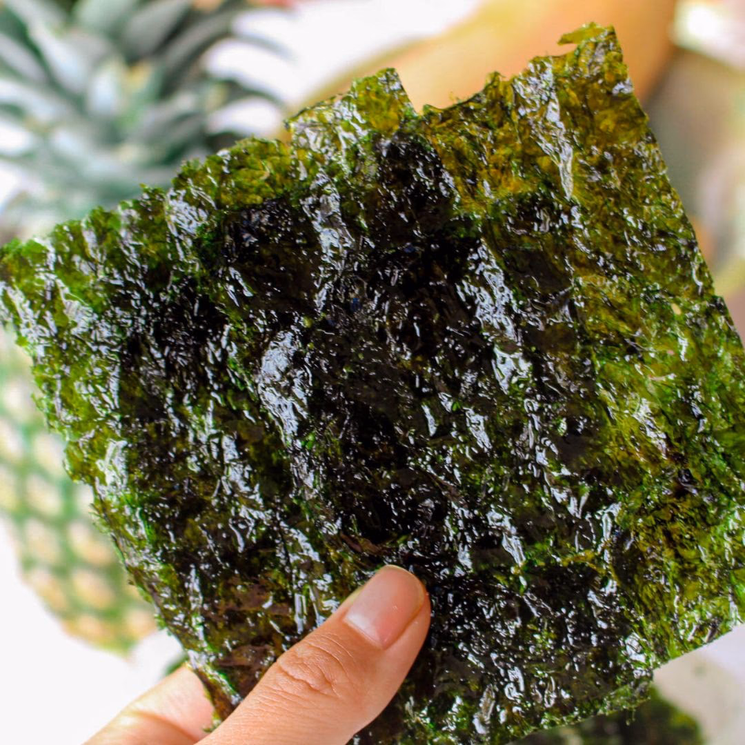 ¿Cuáles son los 4 tipos de algas?