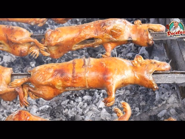 ¿Es el cuy un plato típico de Nariño?