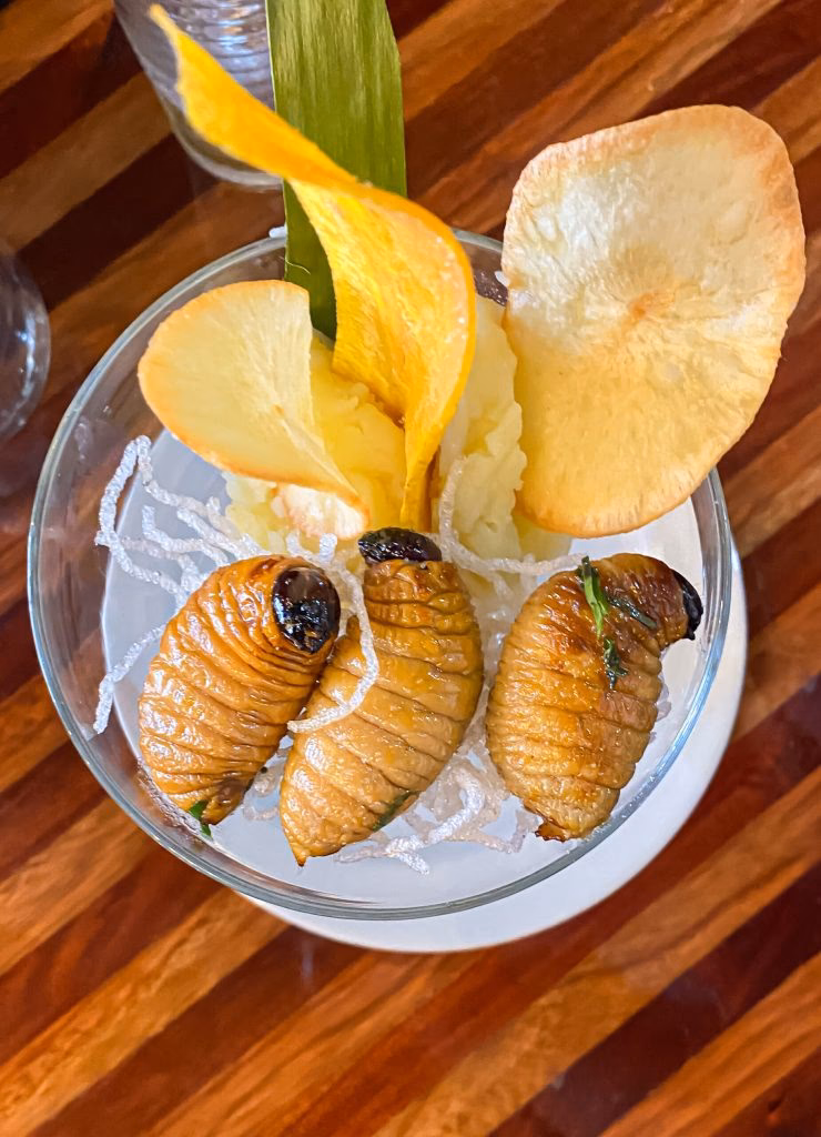 ¿Cuál es la gastronomía de la región andina?