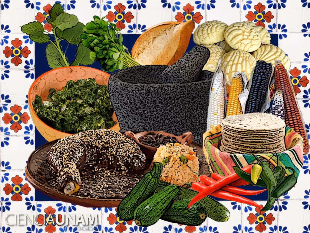 ¿Qué es la antropología gastronómica?