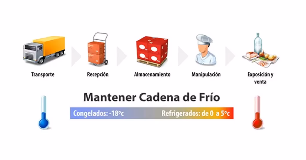 ¿Cuáles son los 4 niveles de cadena de frío?