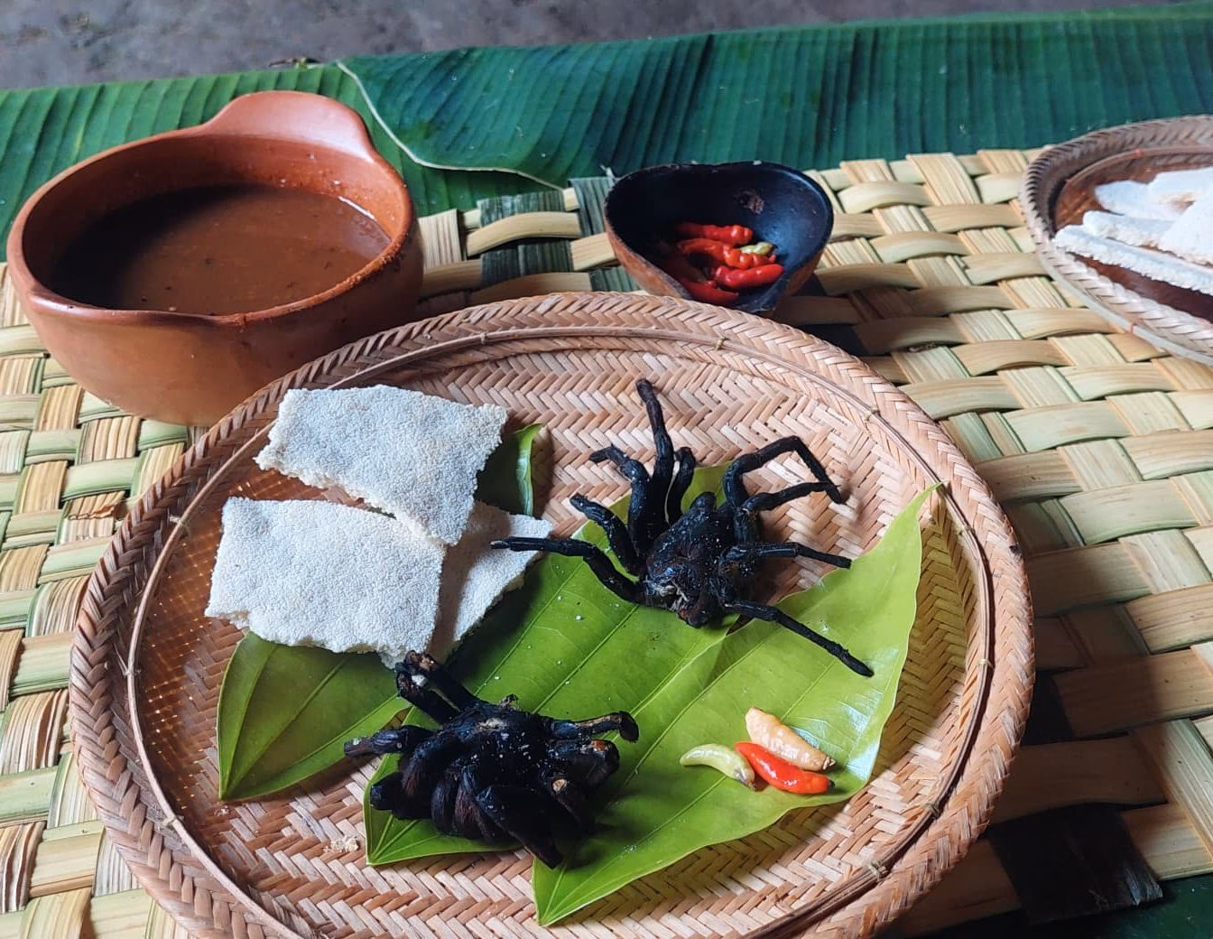 ¿Qué es la araña mona?