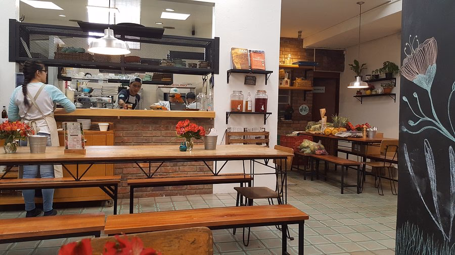 ¿Qué beneficios tiene comer árbol del pan?