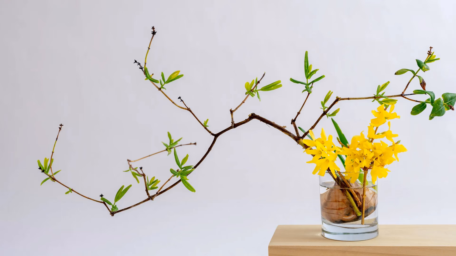 ¿Qué usa la gente cuando hace ikebana?