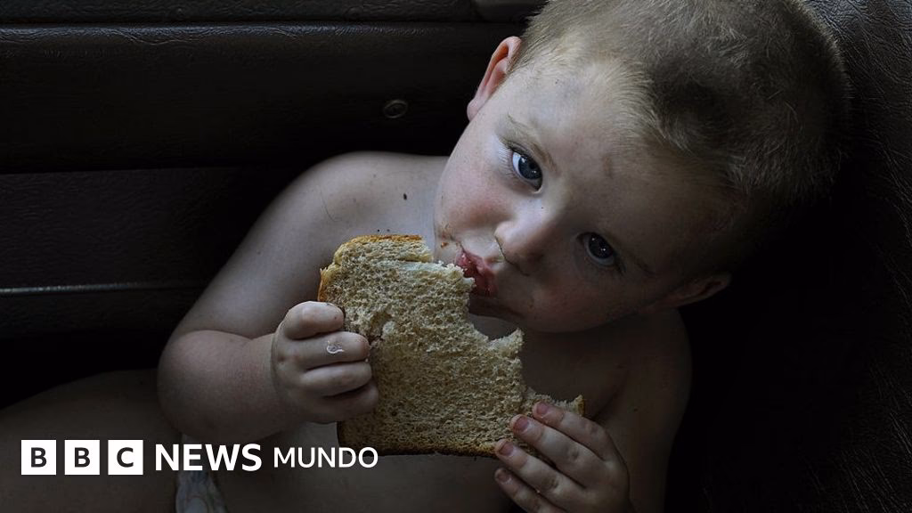 ¿Qué factores culturales, sociales y económicos afectan la dieta de los mexicanos?