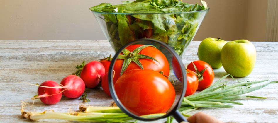 ¿Cuáles son las bacterias más comunes en los alimentos?