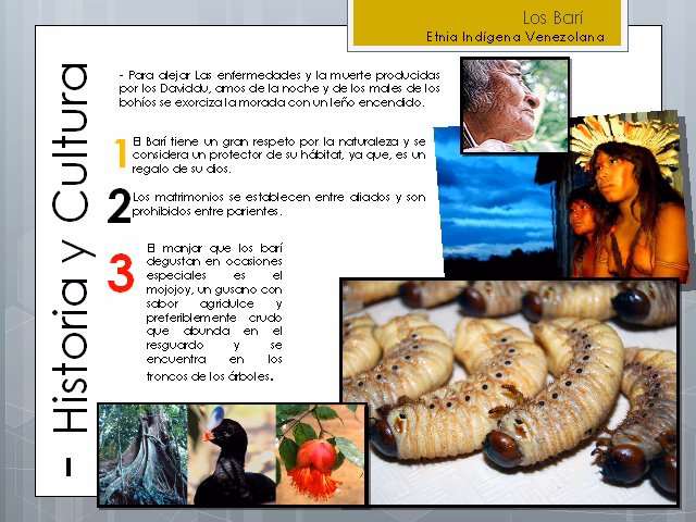 ¿Quiénes son los indios Barí?