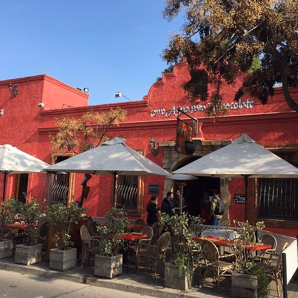 ¿Cuáles son los mejores restaurantes cerca de Patio Bellavista en Santiago?