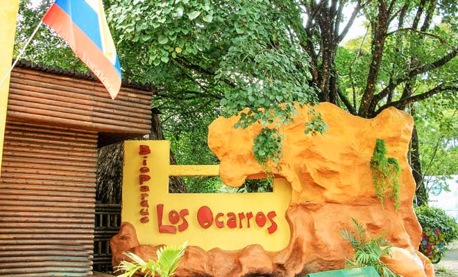 ¿Qué animales hay en los ocarros?