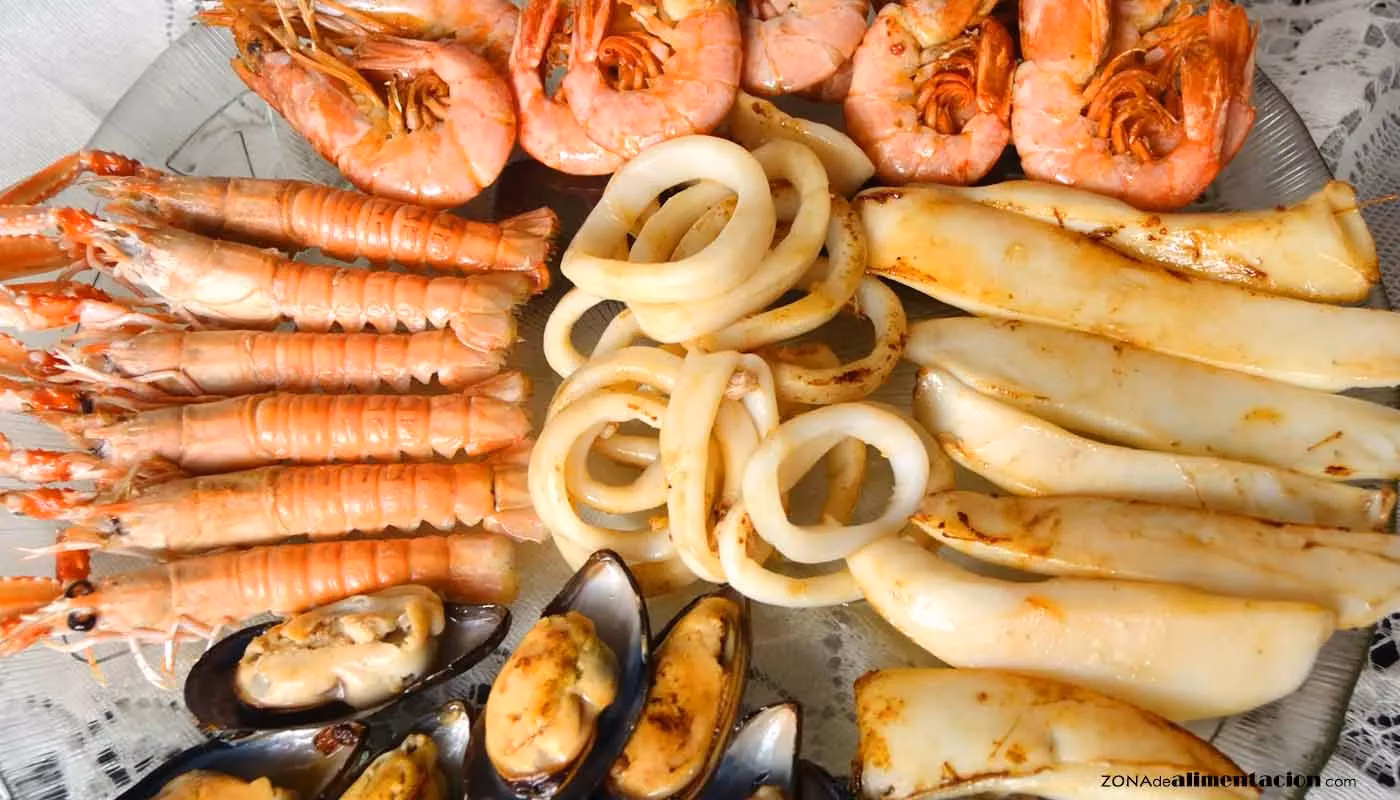 ¿Qué son los mariscos univalvos?