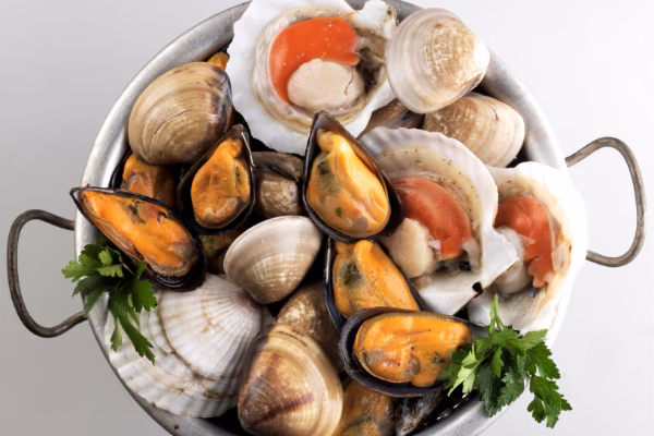 ¿Cuál es la diferencia entre univalvos y bivalvos?