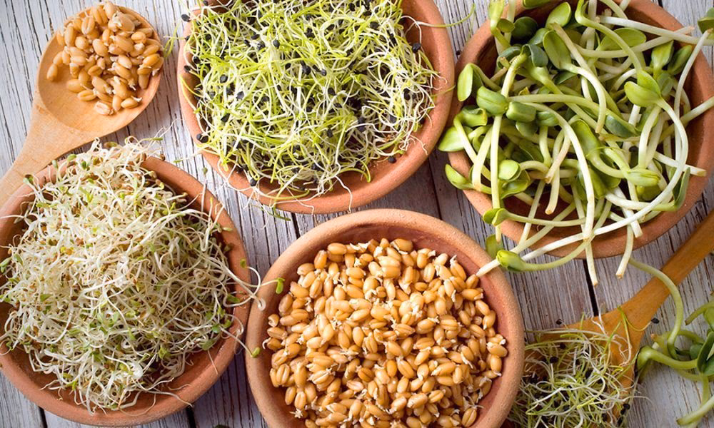 ¿Qué tipos de brotes hay?