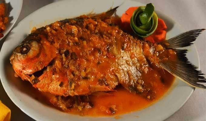 ¿Qué es una cachama en Colombia?