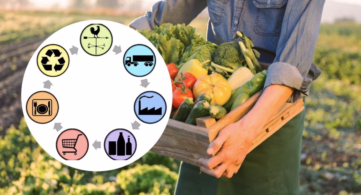 ¿Cuáles son las 4 etapas de la cadena de suministro?