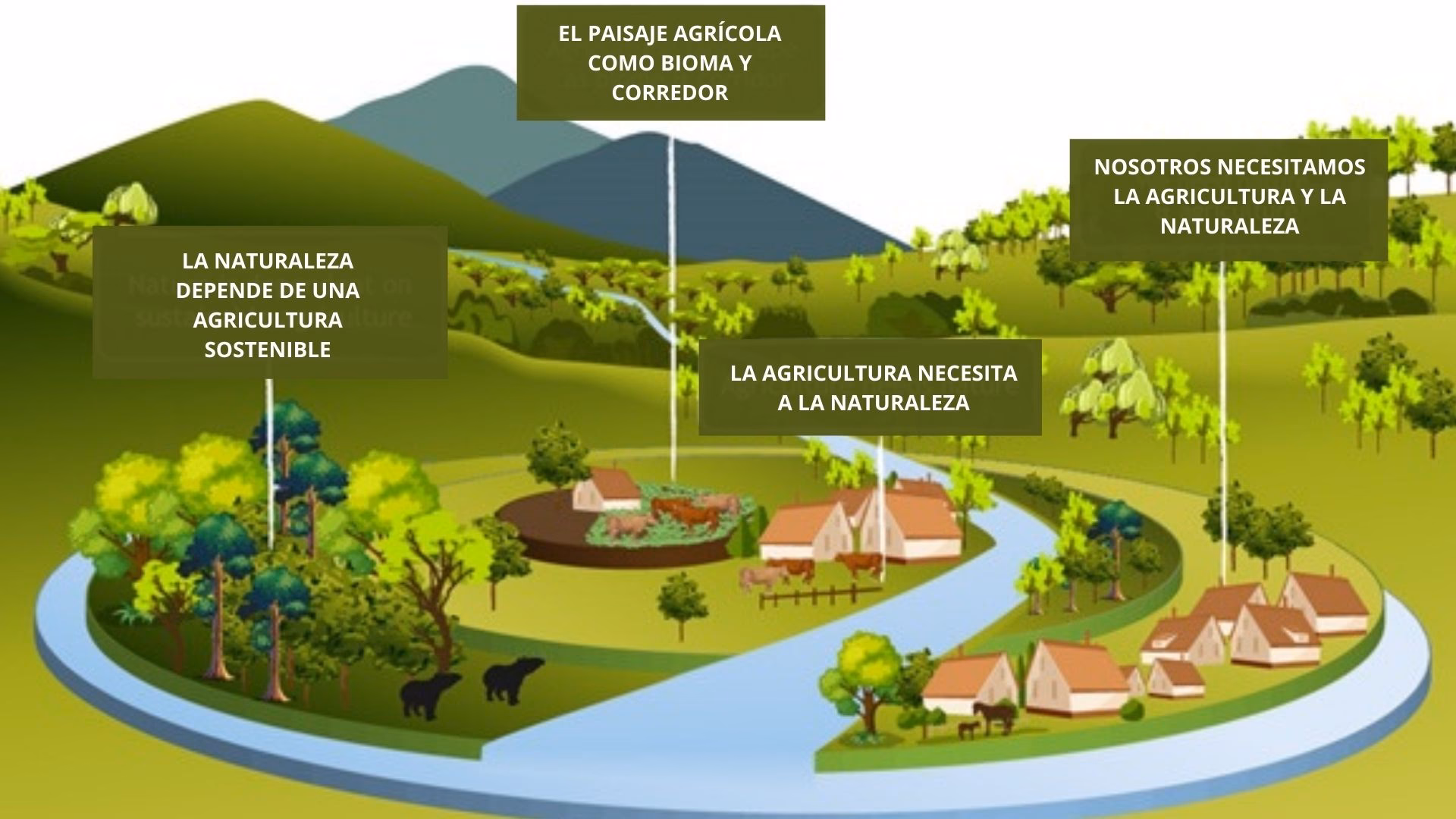 ¿Qué es la cadena alimentaria o agroalimentaria?
