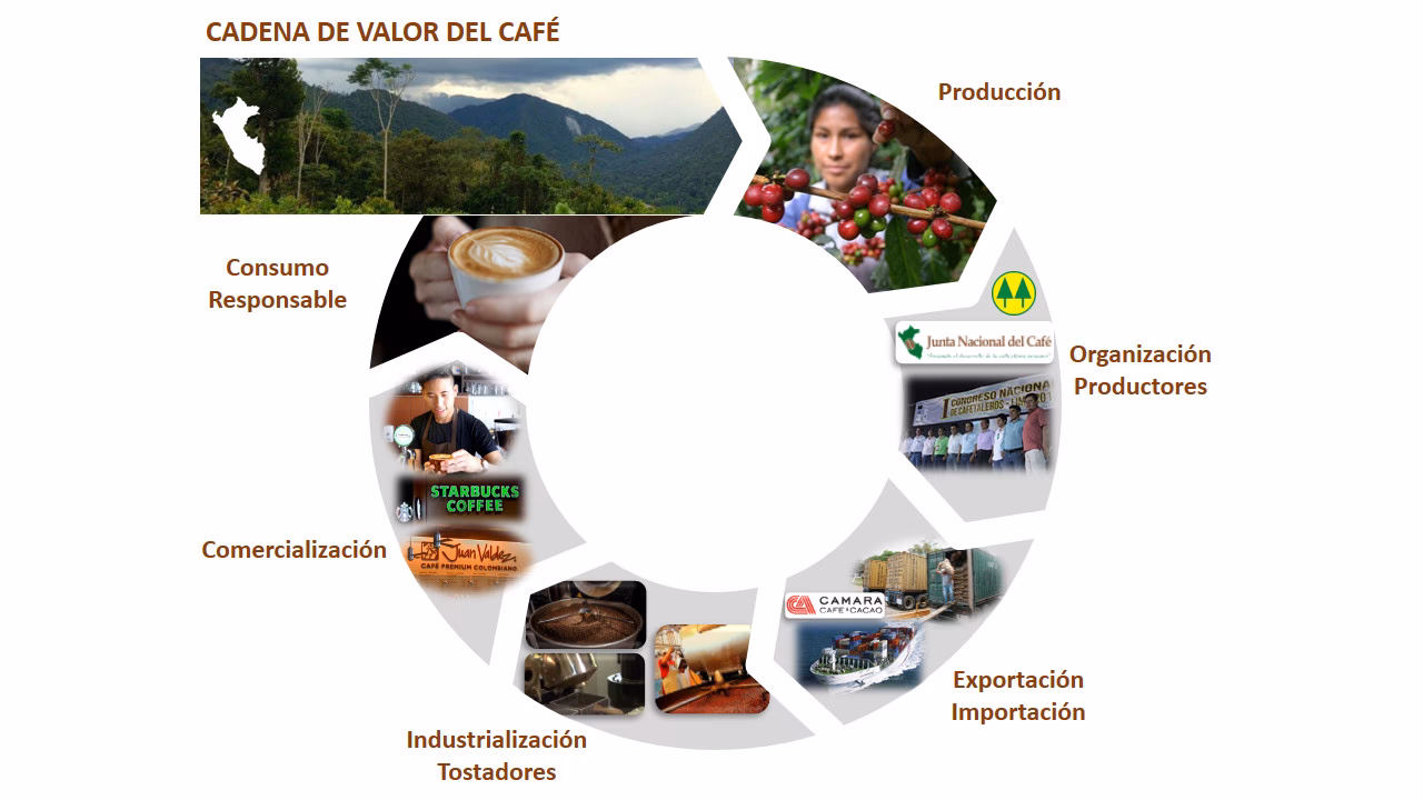 ¿Qué son las cadenas productivas y ejemplos?