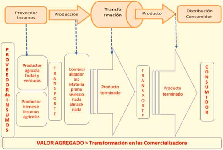 ¿Qué son las cadenas productivas en Colombia?