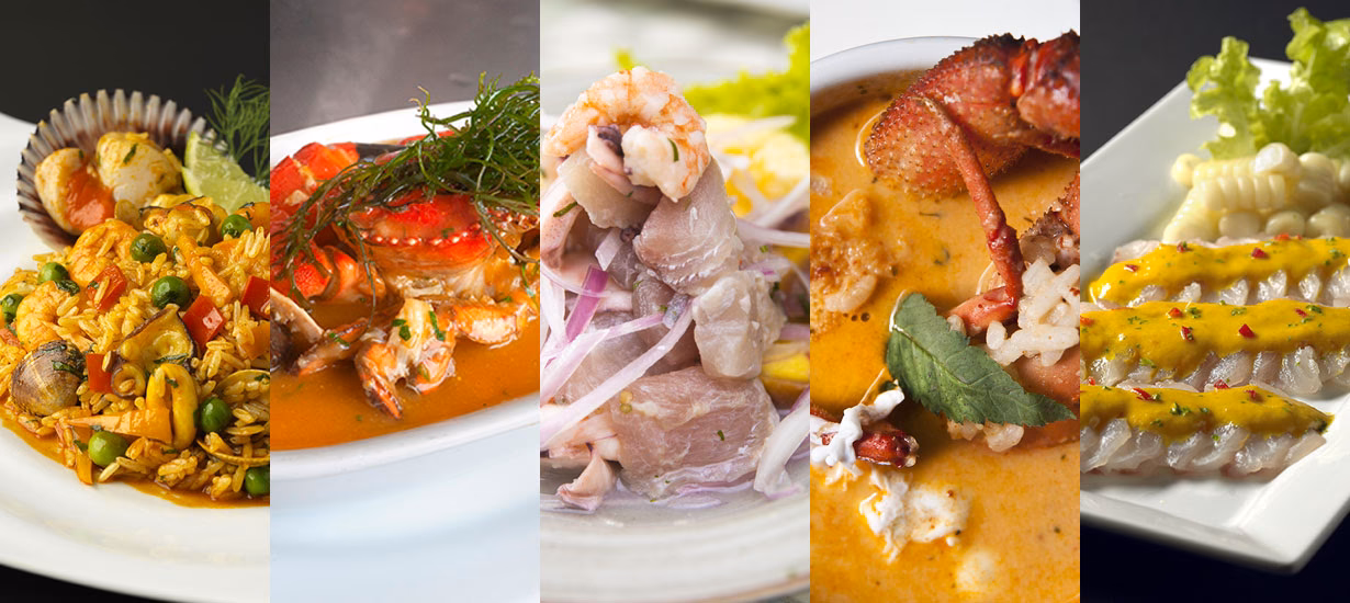 ¿Qué características encontramos en la costa peruana?