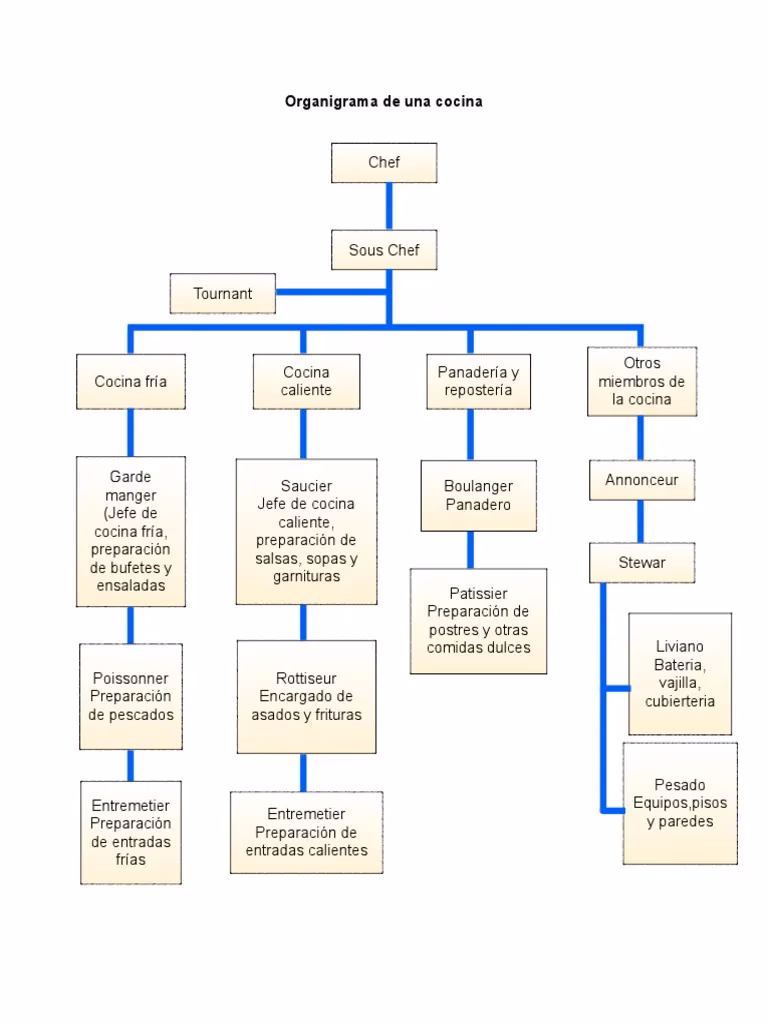 ¿Cuáles son las 7 áreas de una cocina?