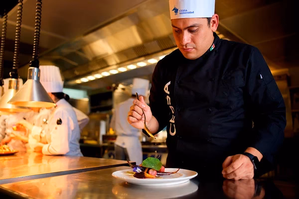 ¿Qué se hace después de terminar la carrera de Gastronomía?