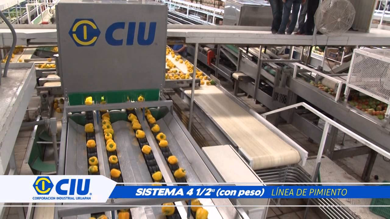 ¿Qué incluye el CIIU 4773?