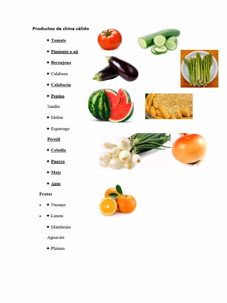 ¿Qué ciudades tienen el clima cálido?