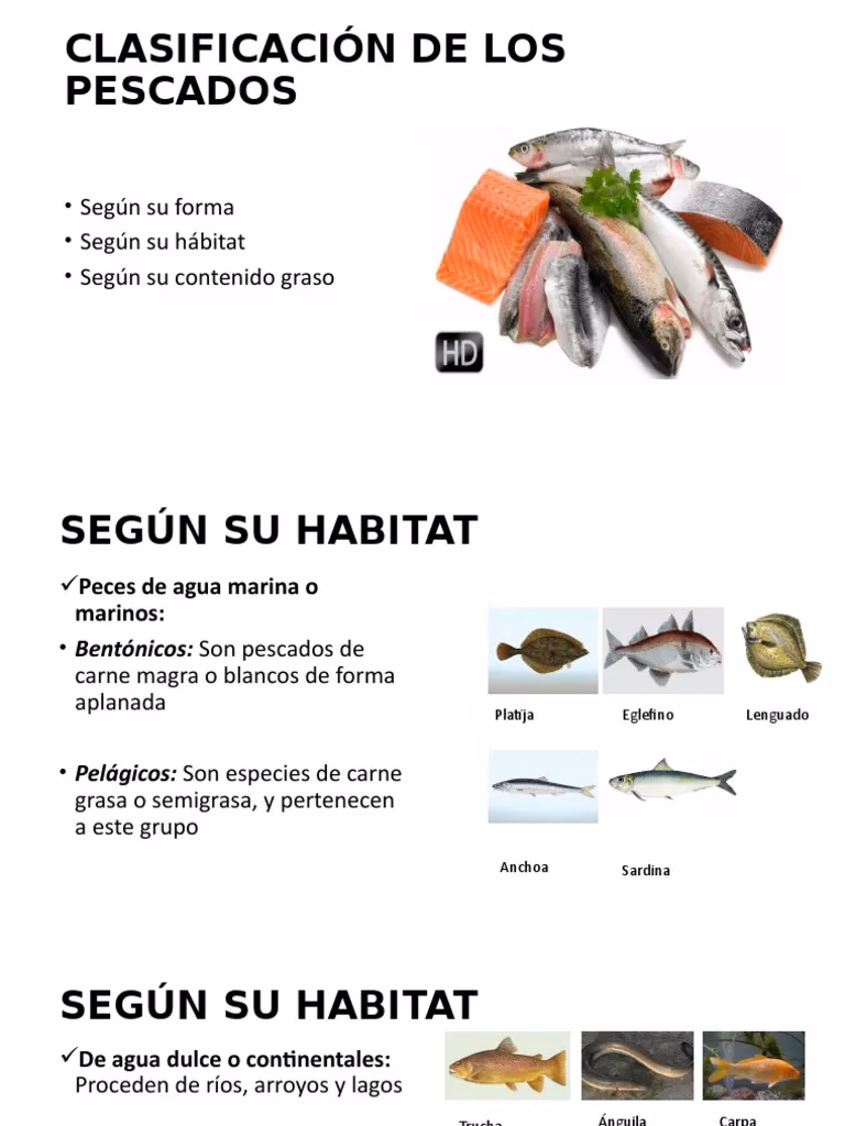 ¿Cómo se clasifican los pescados en gastronomía?