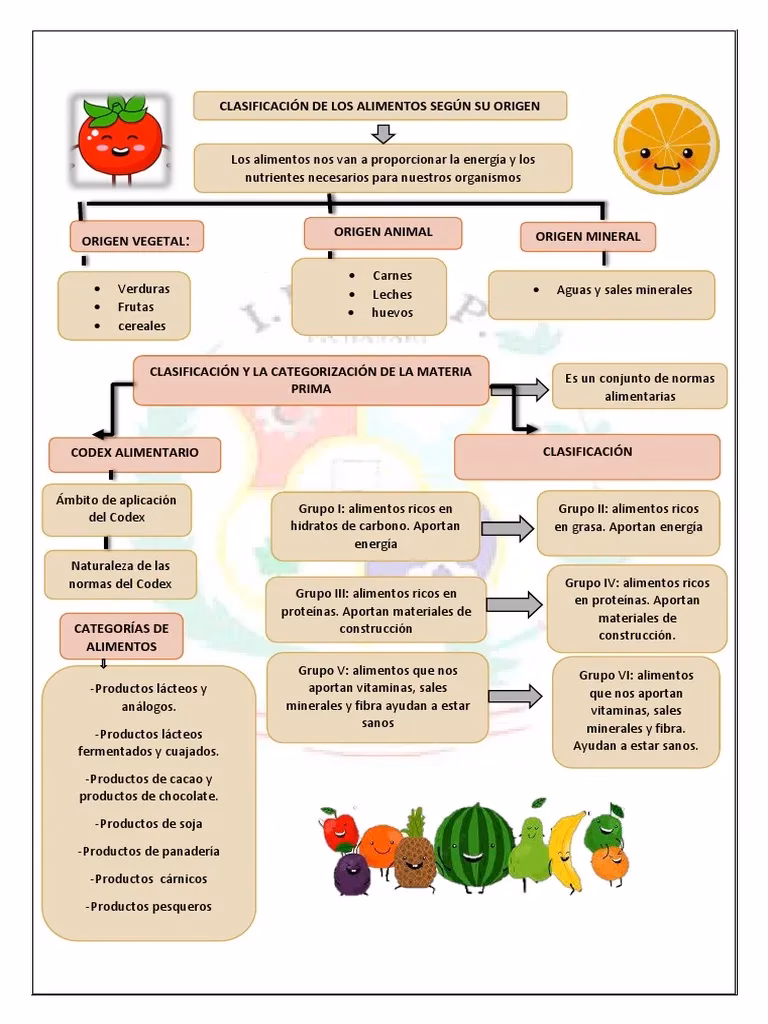 ¿Cómo se clasifican las materias primas en la cocina?