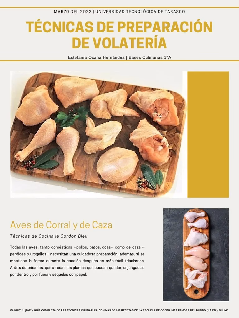 ¿Cómo se clasifica la volatería?