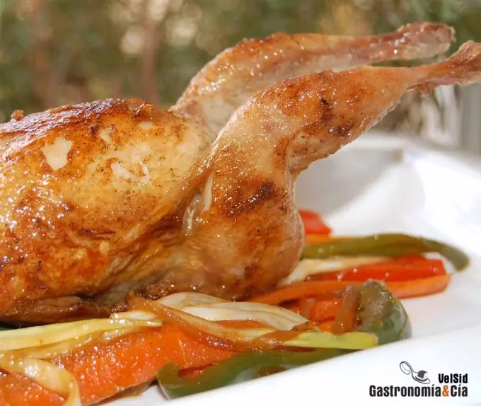 ¿Para qué se utiliza la carne de codorniz?