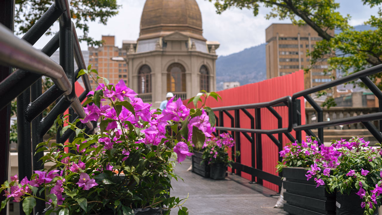 ¿Qué programas ofrece Comfama Medellín?