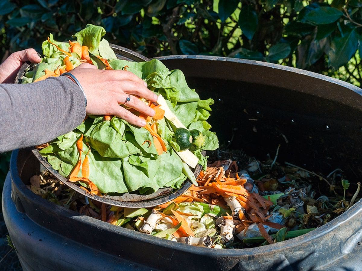 ¿Cómo se llaman las sobras de los restaurantes?