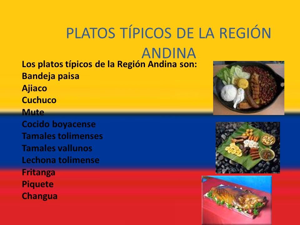 ¿Cómo es la gastronomía de la región andina?