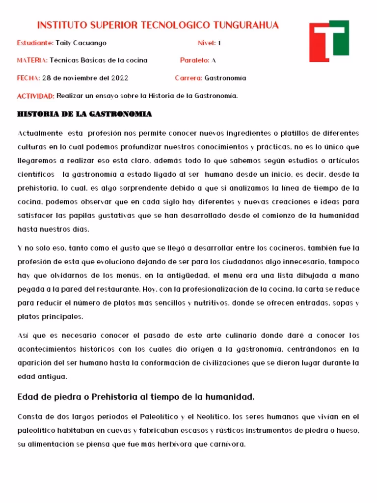 ¿Cuáles son los 10 pasos para hacer un ensayo?