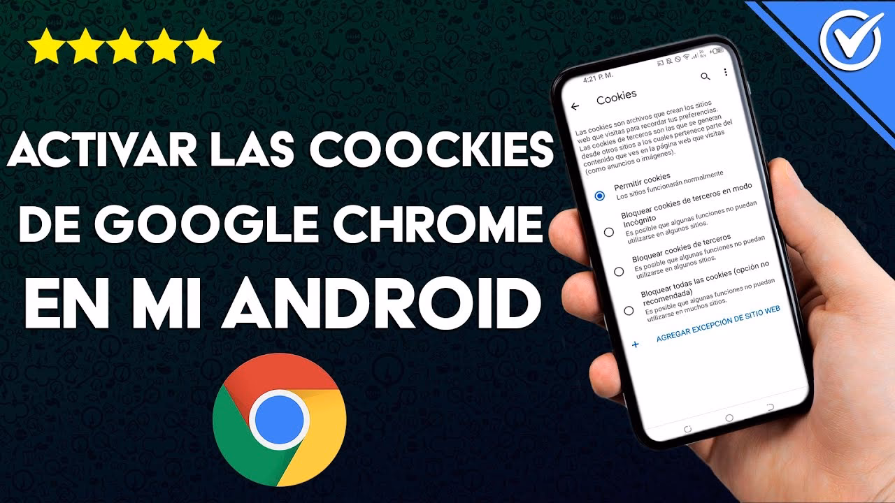¿Cómo puedo recuperar las cookies eliminadas?