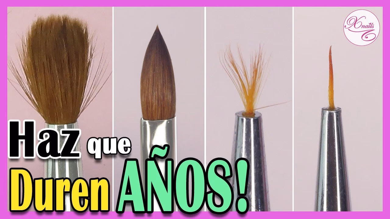 ¿Cómo devolver la forma a los pinceles?