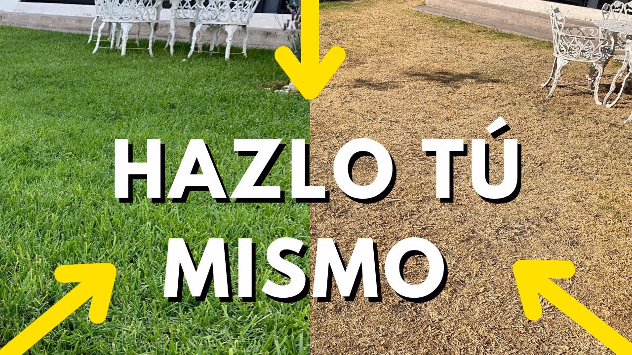 ¿Cómo tener un césped verde y tupido?