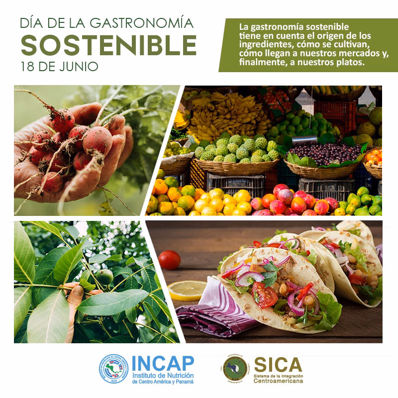 ¿Qué significa cocina sostenible?