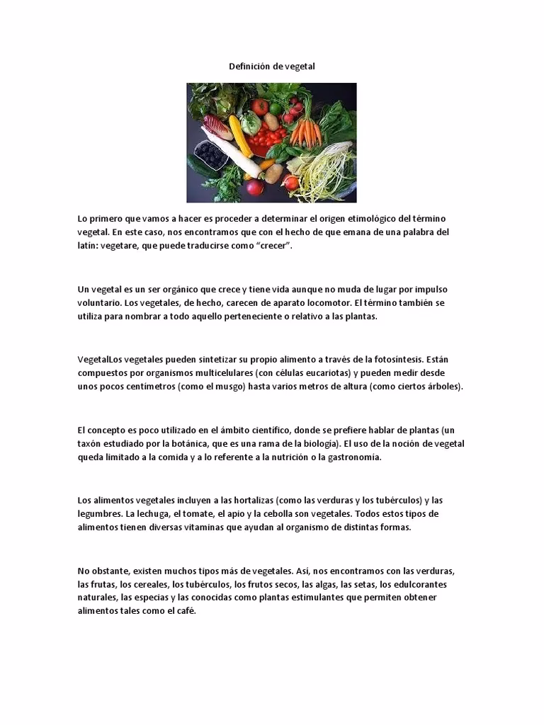 ¿Qué son los vegetales?