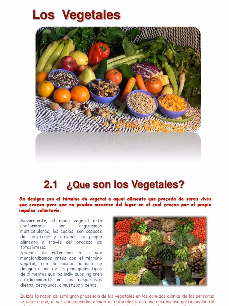 ¿Cuál es el concepto de vegetales?