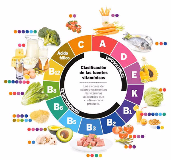 ¿Qué son las vitaminas en gastronomía?