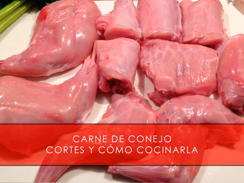 ¿Es comestible el conejo?