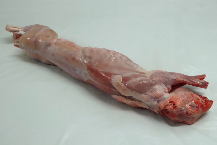 ¿Dónde se come conejo en el mundo?