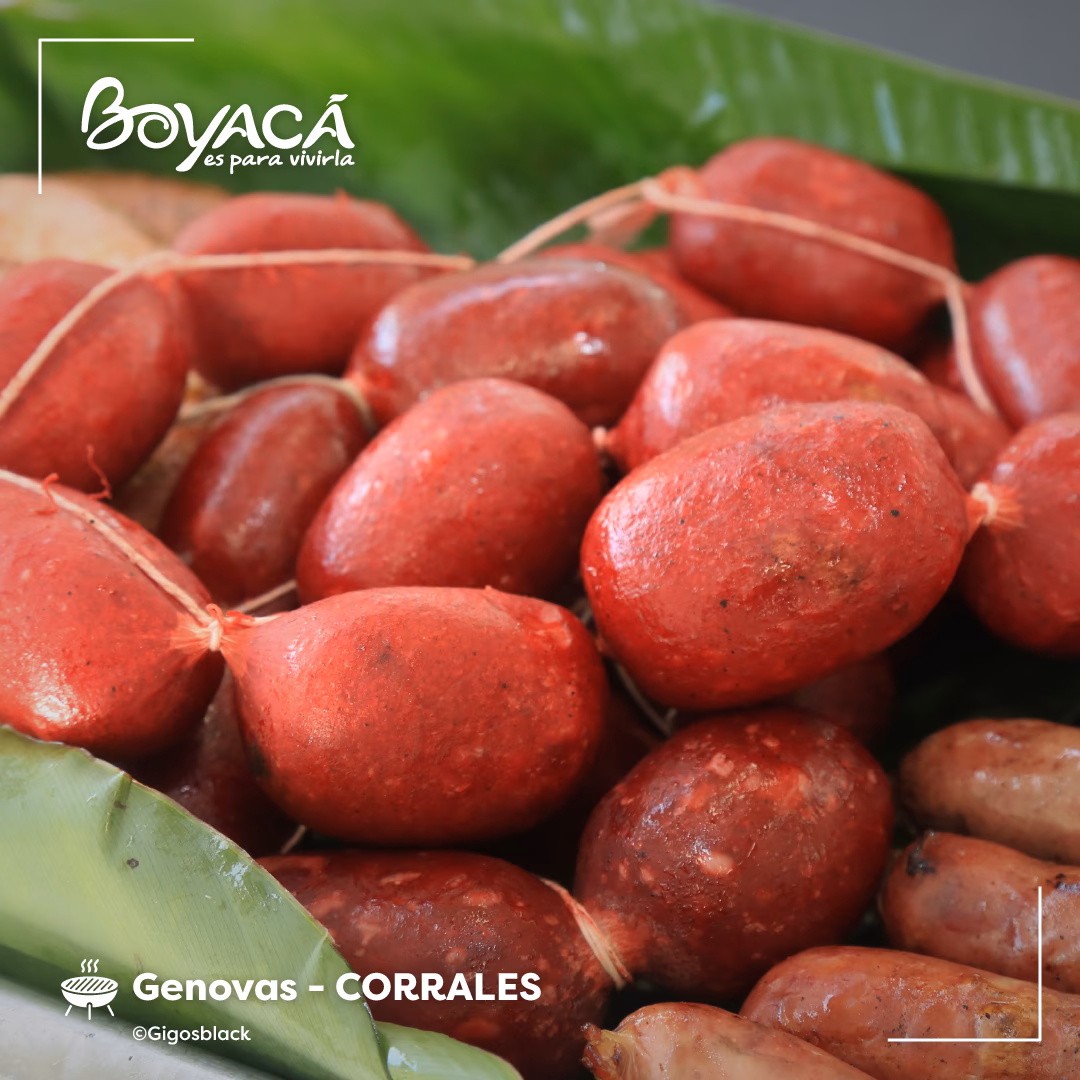 ¿Qué tipo de carne usa El Corral?