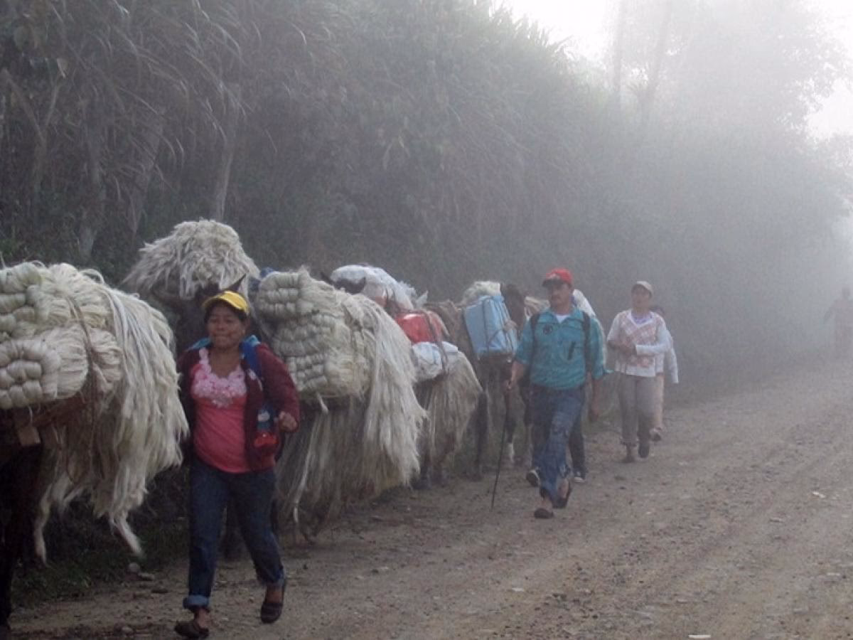¿Qué costumbres tenían los Guanes?