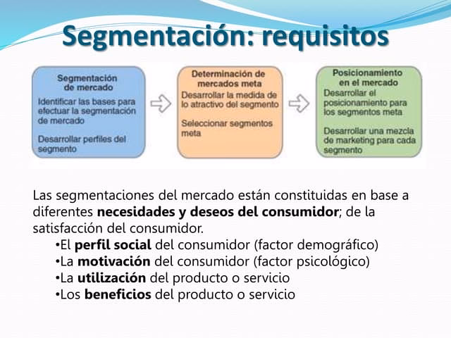 ¿Cuáles son los 4 segmentos de la segmentación del mercado?